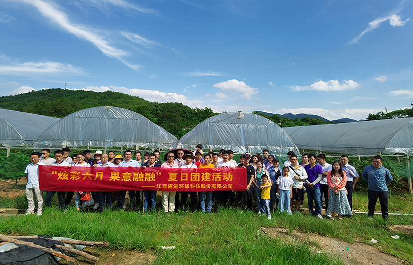 团建|挺进环保开展“炫彩六月 果意融融”夏日采摘活动